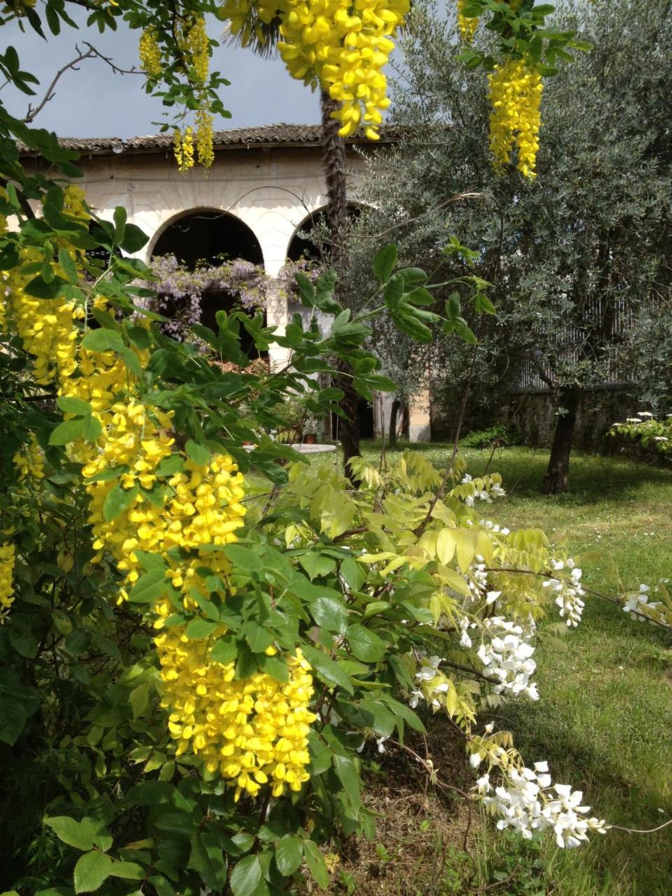 Bed and Breakfast Antica Scuderia Buttrio Esterno foto